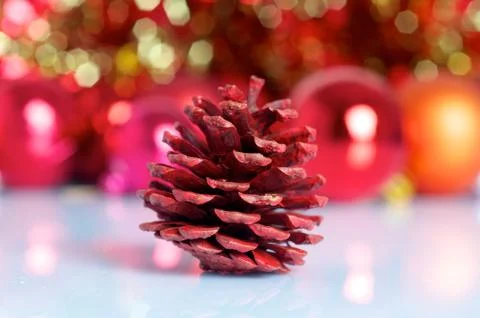 Pine cone on christmas background Stock Photos