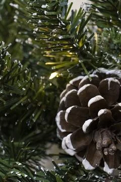 Pine Cone on Christmas Tree with Soft Holiday Lights Stock Photos