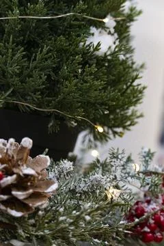 Pine Cone on Christmas Tree with Soft Holiday Lights Stock Photos