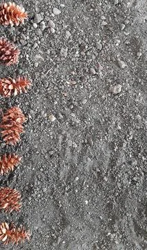 Pine cone on grey sandy background Foto stock