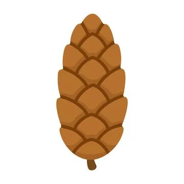Pine cone. Hand drawn trendy flat style isolated Stock Illustration