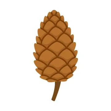 Pine cone. Hand drawn trendy flat style isolated Illustrazione stock