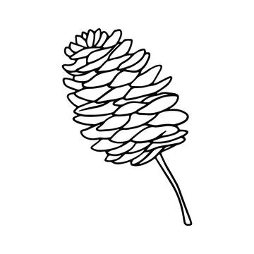Pine Cone Icon Hand Drawn Black and White Thick Lines Stock Illustration