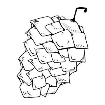 Pine cone icon. Stock Illustration