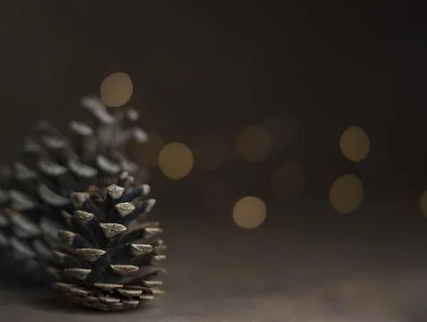 Pine cone isolated on light background. Holiday glowing backdrop. Defocused.. Stock Photos