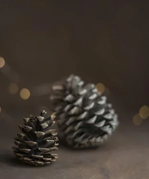 Pine cone isolated on light background. Holiday glowing backdrop. Defocused.. Stock Photos