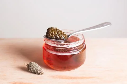 Pine cone jam. Small cones in sweet syrup close-up. Small pine cones in sugar sy Stock Photos
