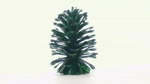 Pine cone loop V2 - HD  Stock-Footage 569571