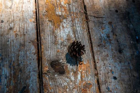 Pine cone on old boards for the background Stock Photos