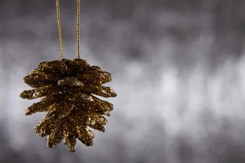 Pine cone Stock Photos