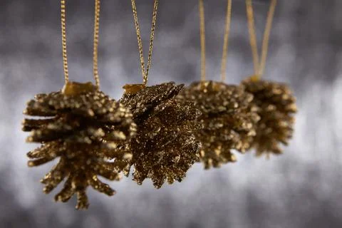 Pine cone Stock Photos