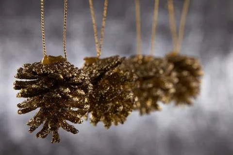 Pine cone Stock Photos