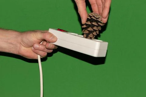 Pine cone in a power socket Stock Photos