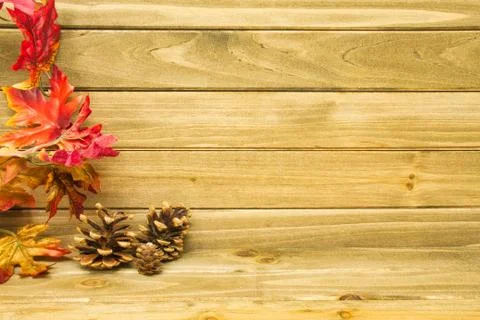 Pine Cone Rustic Background Photos