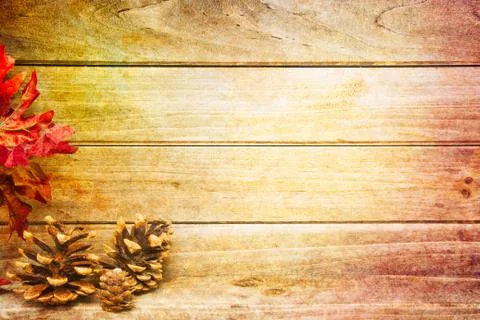 Pine Cone Rustic Textured Background Photos