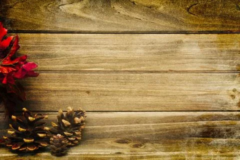 Pine Cone Rustic Textured Background Fotos Stock