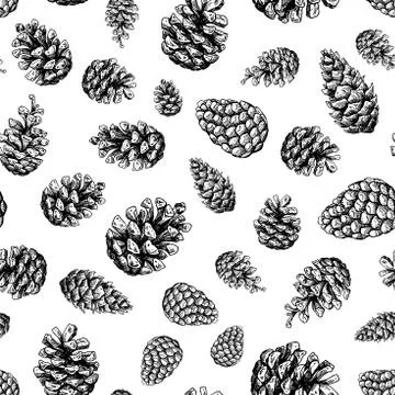 Pine cone seamless pattern. Botanical hand drawn vector background. Isolate.. Stock Illustration
