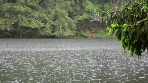 Pine cone selective focus rain over lake surface, summer weather season Stock-Footage 276387932