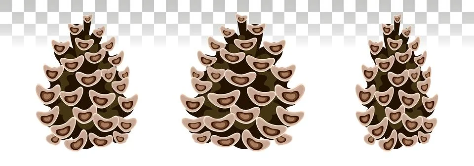 Pine cone set. Botanical  vector illustration. Isolated pinecones.  for greet Illustrazione stock