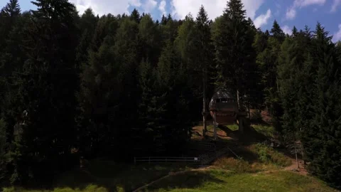 Pine cone-shaped tree houses Video stock 171828505
