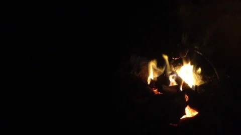 Pine cone spruce on a stick burns in the fire 3 Stock Footage 73678764