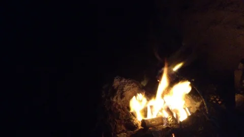 Pine cone spruce on a stick burns in the fire 4 Stock Footage 73678796
