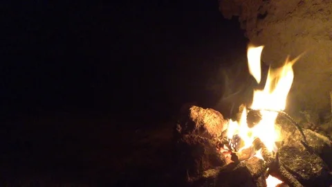 Pine cone spruce on a stick burns in the fire Stock Footage 73678837