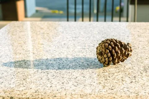 The Pine cone on the stone table Stock-Fotos