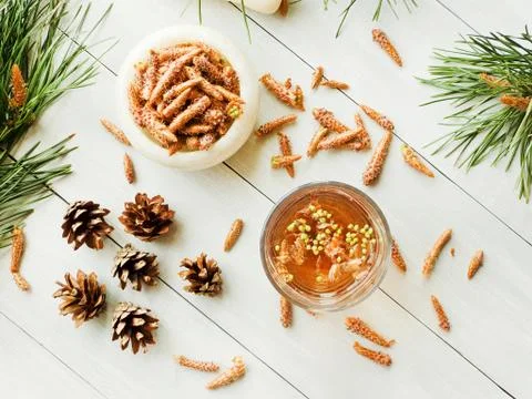 Pine cone tea Stock Photos