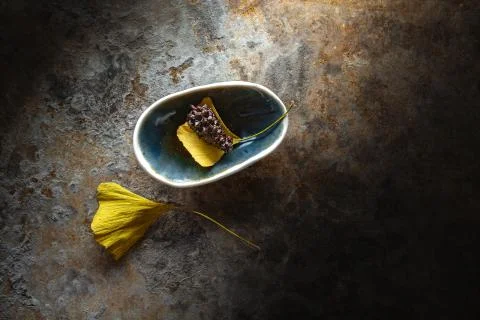 Pine cone in a tiny bowl Stock Photos