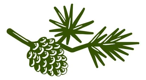 Pine Cone Tree Branch Woods Outdoor Nature Icon Stock Illustration
