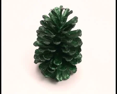 Pine cone V2 - PAL Stock Footage 10767383