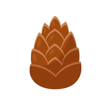Pine cone. Vector illustration on white background Stock Illustration