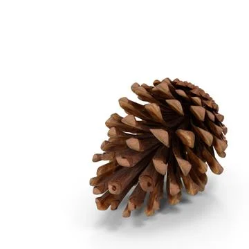 Pine cone on a white background. 3D rendering. Stock Illustration