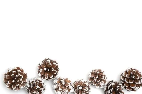 Pine cone on white background Stock-Fotos