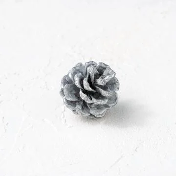 Pine cone on white background Stock Photos