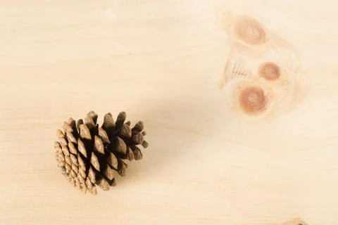 Pine Cone on Wood Stock Photos