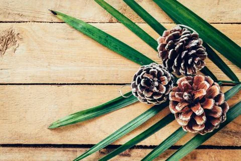 Pine cone on wood table background with space. Stock Photos