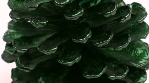 Pine cone zoom- HD  Stock-Footage 569576