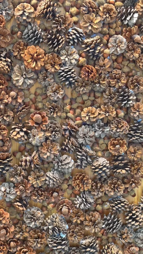 Pine cones and acorns on textured background. Stock Footage 340413061