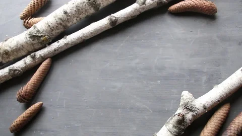 Pine Cones and birch on gray table Stock Footage 70529632
