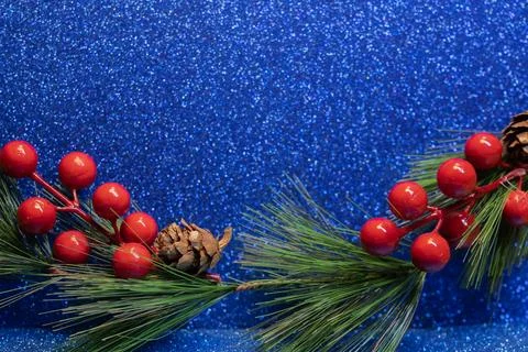Pine cones and branches on the sparkling glitter blue color background Stock Photos
