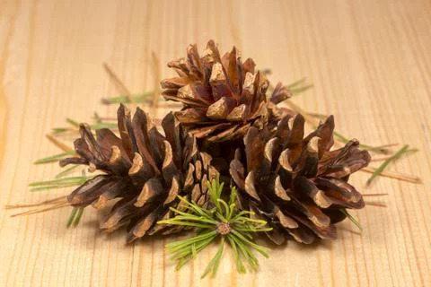 Pine cones and needles on the pine board Stock Photos