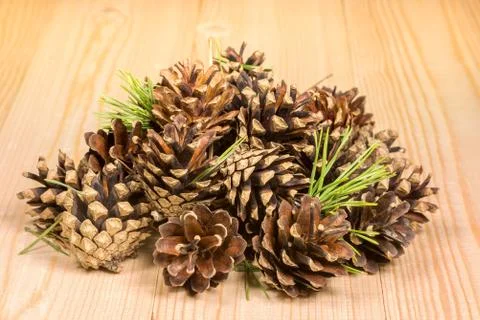 Pine cones and needles on the pine board Stock Photos