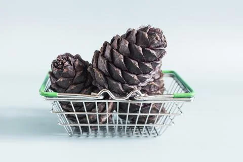 Pine cones and nuts in a basket on a light background. Stock Photos