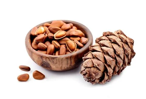Pine cones and pine seed nuts Stock Photos