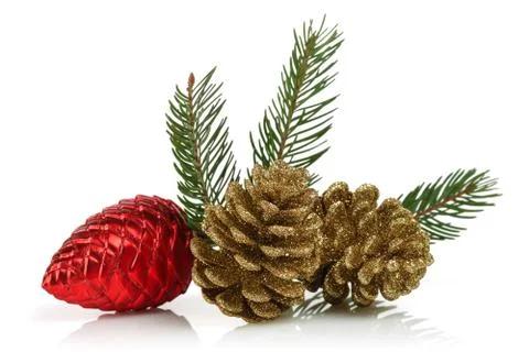 Pine cones and spruce branches. Christmas ornaments isolated on white backgro Stock Photos