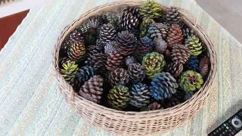 Pine cones are used as ornaments after being painted Video stock 145795027