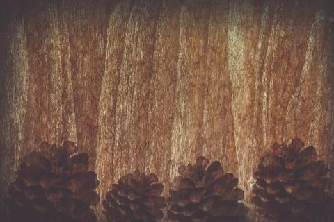 Pine cones background Stock Photos