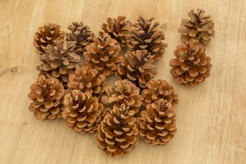 Pine cones background Stock Photos